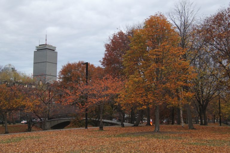 Charles River Esplanade in Fall