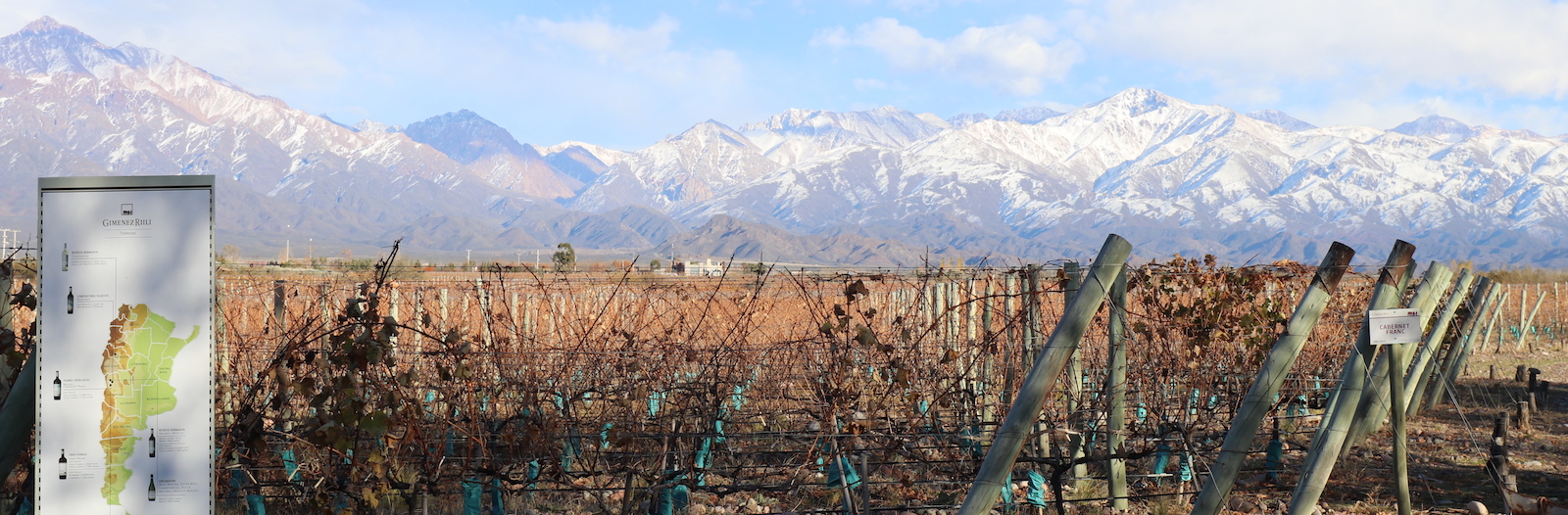 Bodega Gimenez Riili