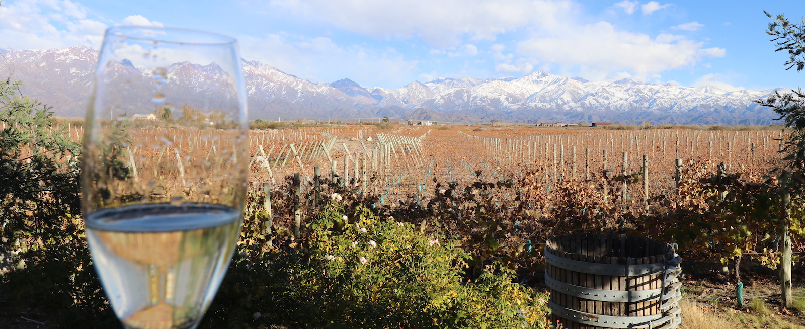 Bodega Gimenez Riili